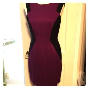 Cynthia Steffe Plum and Black Dress